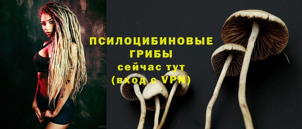 спиды Гусь-Хрустальный