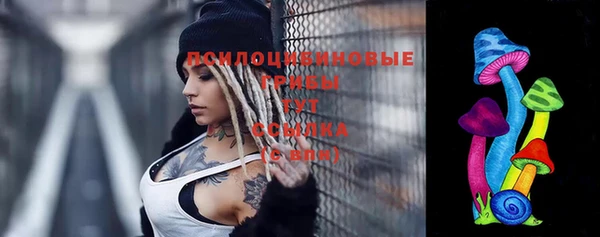 спиды Гусь-Хрустальный
