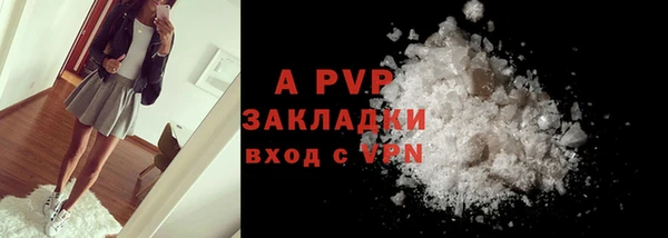 PSILOCYBIN Гусев