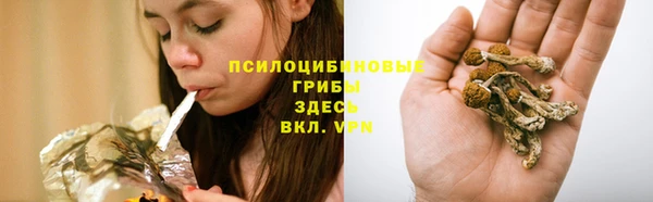 твердый Гусиноозёрск