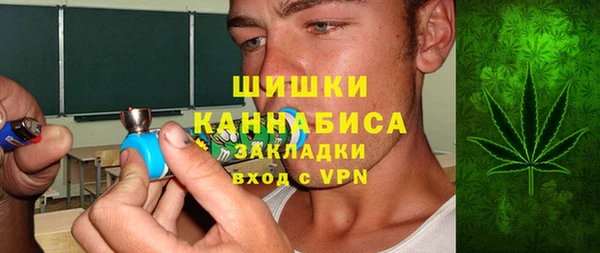 PSILOCYBIN Гусев