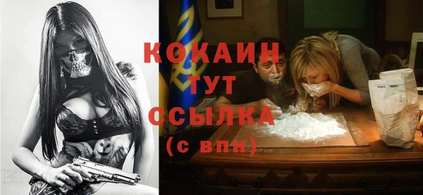 PSILOCYBIN Гусев